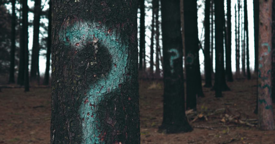 a copse of trees with question marks painted on them